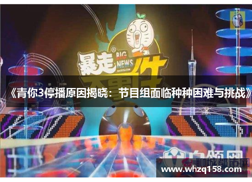《青你3停播原因揭晓：节目组面临种种困难与挑战》